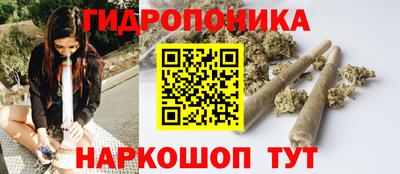 прущие грибы Пушкино