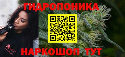 прущие грибы Пушкино