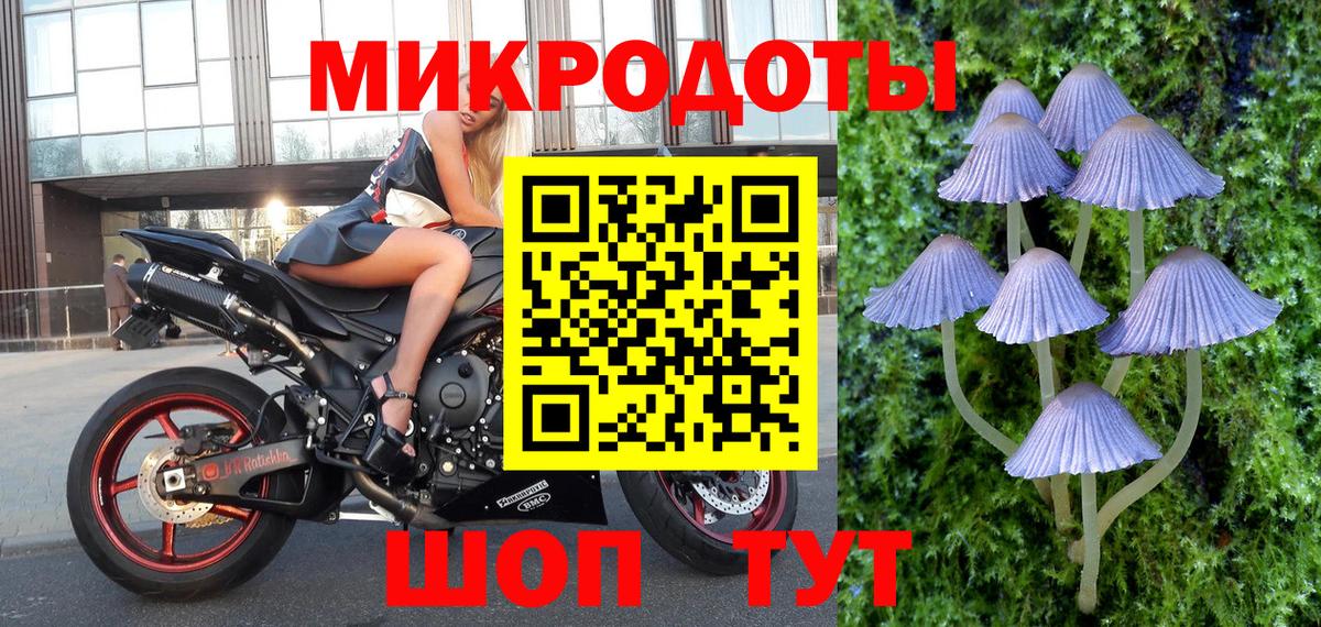 Соль-Илецк  Галлюциногенные грибы Psilocybe  Вход с VPN 
